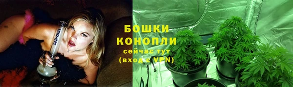 mdpv Верхний Тагил